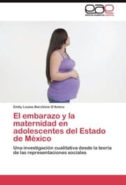 Cover von El embarazo y la maternidad en adolescentes del Estado de Mexico