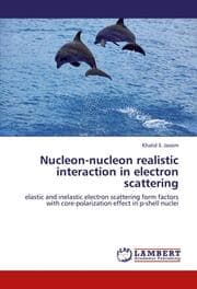 Cover von Nucleon-nucleon realistic interaction in electron scattering