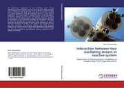 Cover von Interaction between two oscillating stream in reactive system