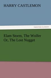 Cover von Elam Storm, The Wolfer Or, The Lost Nugget