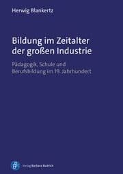 Cover von Bildung im Zeitalter der großen Industrie