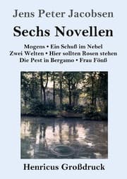 Cover von Sechs Novellen (Großdruck)