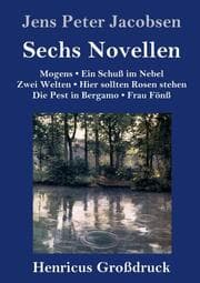 Cover von Sechs Novellen (Großdruck)