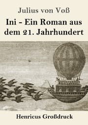 Cover von Ini (Großdruck)