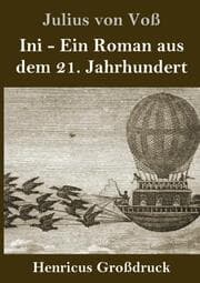 Cover von Ini (Großdruck)