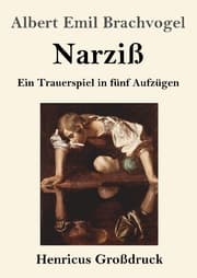 Cover von Narziß (Großdruck)