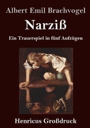 Cover von Narziß (Großdruck)