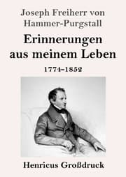 Cover von Erinnerungen aus meinem Leben (Großdruck)