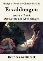 Cover von Erzählungen (Großdruck)
