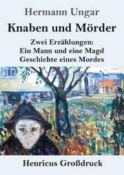 Cover von Knaben und Mörder (Großdruck)