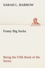 Cover von Funny Big Socks Being the Fifth Book of the Series