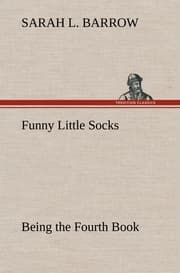 Cover von Funny Little Socks Being the Fourth Book