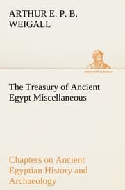 Cover von The Treasury of Ancient Egypt Miscellaneous Chapters on Ancient Egyptian History and Archaeology