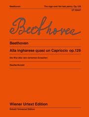 Cover von Die Wut über den verlorenen Groschen