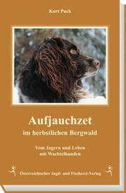 Cover von Aufjauchzet im herbstlichen Bergwald