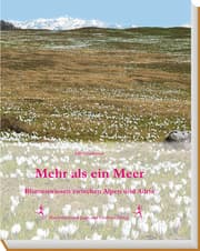 Cover von Mehr als ein Meer