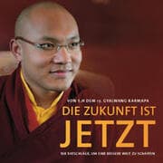 Cover von Die Zukunft ist jetzt