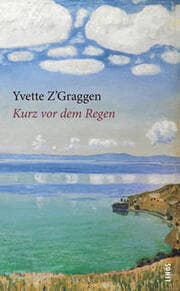 Cover von Kurz vor dem Regen