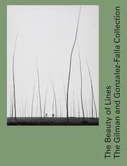 Cover von The Beauty of Lines