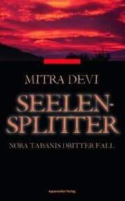 Cover von Seelensplitter