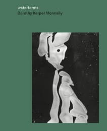 Cover von Dorothy Kerper Monnelly: Waterforms