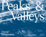 Cover von David Borgmann