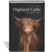Cover von Highland Cattle