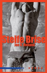 Cover von Steife Brise
