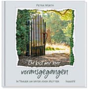 Cover von Du bist mir nur vorausgegangen