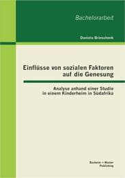 Cover von Einflüsse von sozialen Faktoren auf die Genesung: Analyse anhand einer Studie in einem Kinderheim in Südafrika