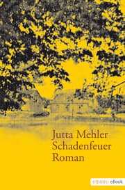 Cover von Schadenfeuer