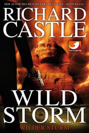Cover von Derrick Storm 2: Wild Storm - Wilder Sturm