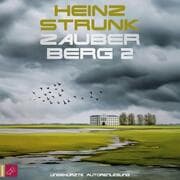 Cover von Zauberberg 2
