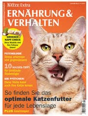 Cover von Katzen Ernährung & Verhalten