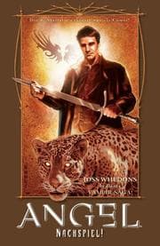 Cover von Angel Nach dem Fall