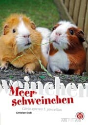 Cover von Meerschweinchen