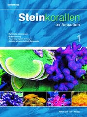 Cover von Steinkorallen im Aquarium 1