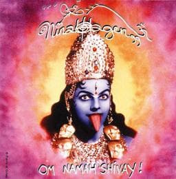 Cover von Om Namah Shivay!