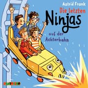 Cover von Die letzten Ninjas auf der Achterbahn