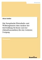 Cover von Die Europäische Wirtschafts- und Währungsunion: Eine Analyse der Entwicklung bis heute und der Zukunftsaussichten für den weiteren Fortgang