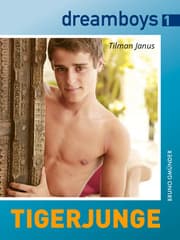 Cover von dreamboys 1: Tigerjunge