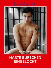 Cover von Loverboys 138: Harte Burschen eingelocht
