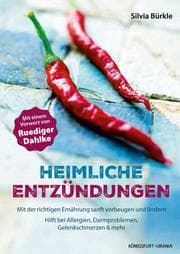 Cover von Heimliche Entzündungen