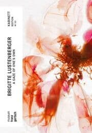 Cover von Brigitte Lustenberger. A Gaze of Ones Own
