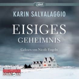 Cover von Eisiges Geheimnis