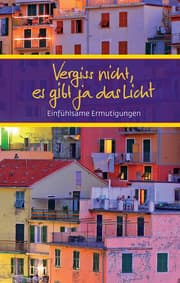 Cover von Vergiss nicht, es gibt ja das Licht