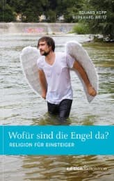 Cover von Wofür sind die Engel da?