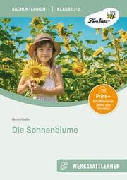 Cover von Die Sonnenblume