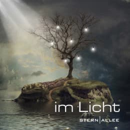 Cover von Im Licht