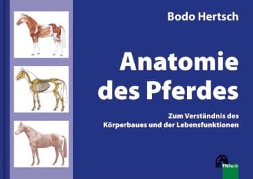 Cover von Anatomie des Pferdes